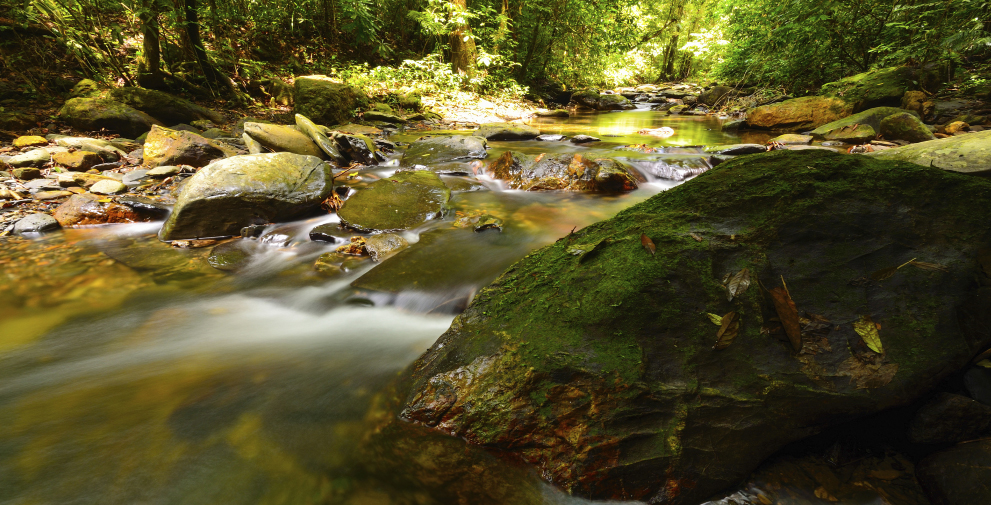 Cabins by the Caves - Hocking Hills Quality Lodging Association ...